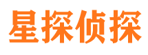 共和侦探